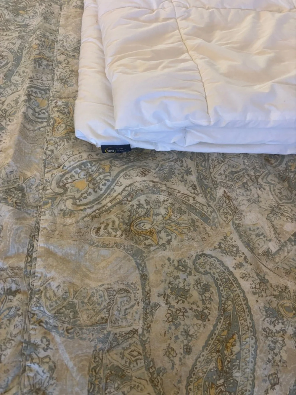 Pottery Barn Twin Paisley Duvet Cover + Serta Twin Comforter Insert